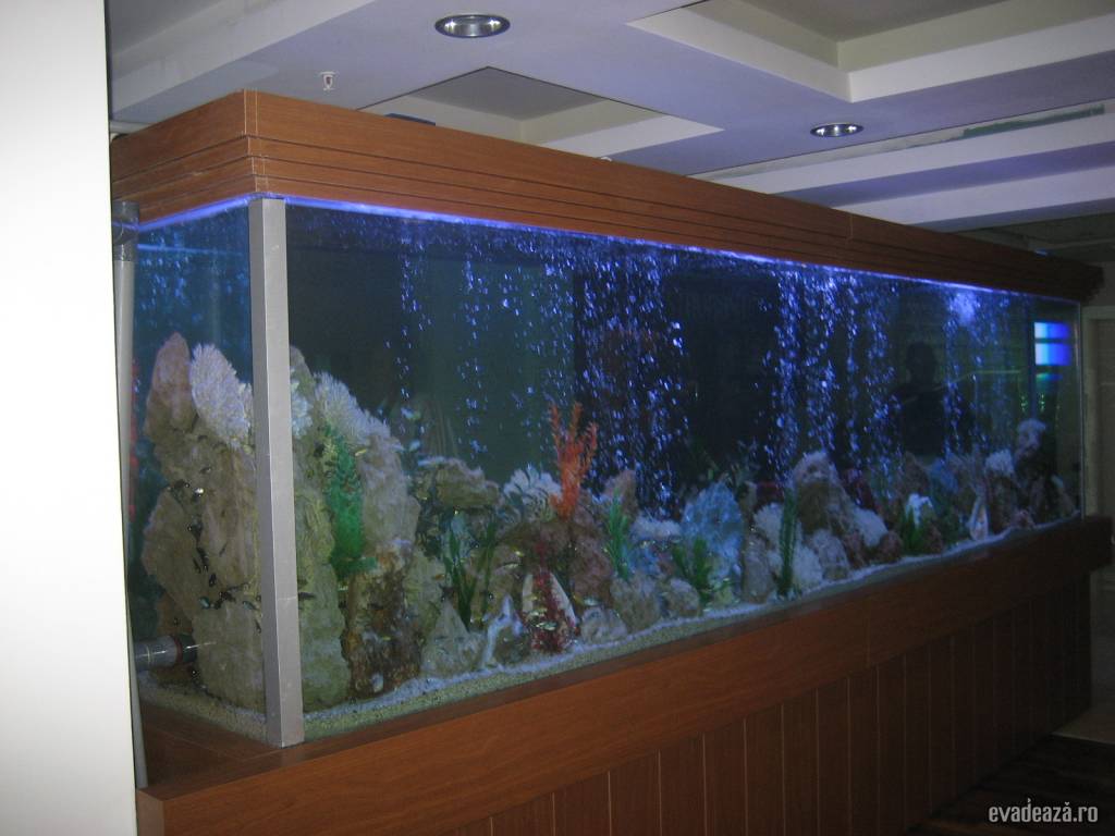 Sea Life Hotel | 6
